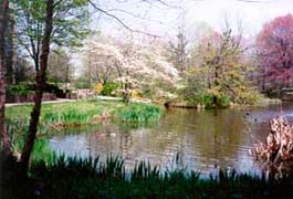 [photo, Helen Avalynne Tawes Garden, Annapolis, Maryland]