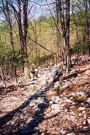 [photo, Hikers in Catoctin Mountain National Park near Thurmont, Maryland]